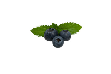 Three fresh blueberries with green mint leaves. Front view, transparent background, PNG format. 