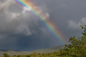 rainbow in the sky