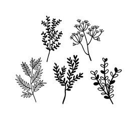 Set of vintage style leaves