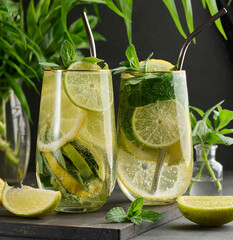 Refreshing detox or summer drink in a glass with lemon, lime, mint, ice, and metal straw. Dark...