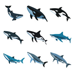 Fototapeta premium illustrations vector design for sea beach marine creatures icon sword tail fish design items 