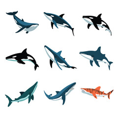 Fototapeta premium illustrations vector design for sea beach marine creatures icon sword tail fish design items 