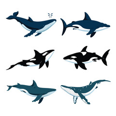 Fototapeta premium illustrations vector design for sea beach marine creatures icon sword tail fish design items 