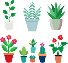 set of flowers in pots