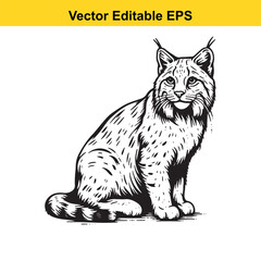 A majestic lynx sitting gracefully, a black and white vector illustration.