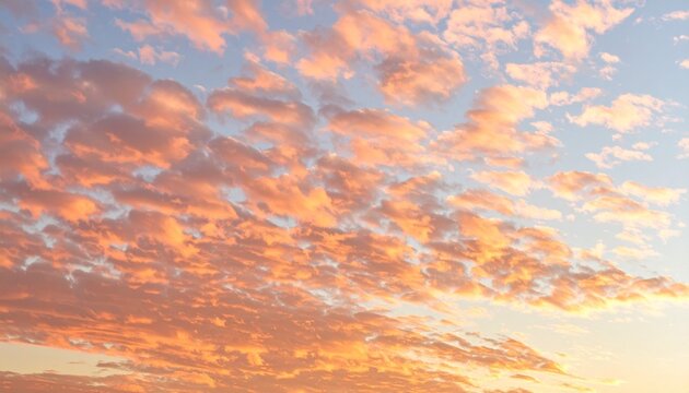 夕暮れに染まる秋の羊雲
