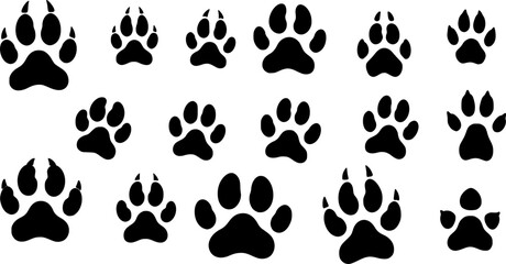 Fototapeta premium animals prints