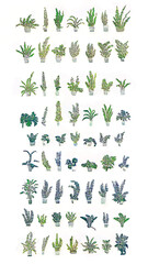Fototapeta premium Indoor Gardening Bliss: Vibrant Green Plants, Succulent Variety, and Botanical Illustration for Eco-Friendly Home Decor