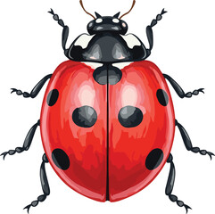 Obraz premium watercolor red ladybug insect with black dots on shell hand painted illustration isolated on white background