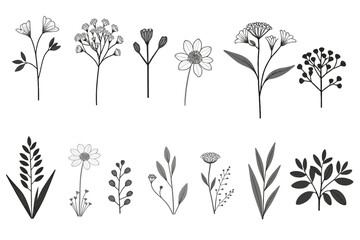 Black and White Flower Illustration- Elegant Floral Design- Botanical Art Print- Minimalist Plant Decor- Delicate Wildflower Drawing- Nature Inspired Artwork