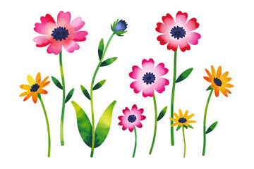 Watercolor Flower Illustration - Colorful Floral Clipart for Spring Designs - Hand Painted Botanical Art with Pink, Red, and Yellow Flowers on White Background