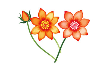 Watercolor Orange Flowers Illustration - Delicate Floral Painting with Buds - Botanical Art Print for Home Decor and Crafts Projects - Vibrant and Artistic Flower Design