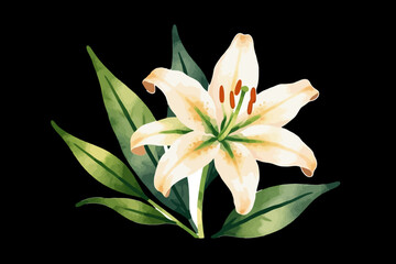 Watercolor Lily Flower Illustration - Elegant Floral Design with Green Leaves - Botanical Art for Spring and Summer Projects