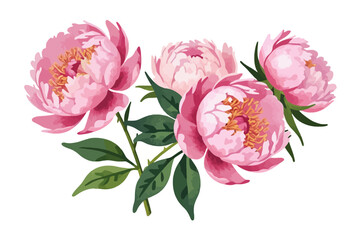 Watercolor Pink Peonies Illustration- Beautiful Floral Arrangement with Green Leaves- Perfect for Spring or Summer Designs- Delicate Blossom Artwork for Greetings and Invitations