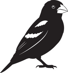 Black-headed Grosbeak Silhouettes Vector