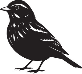Chestnut-collared Longspur