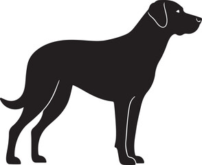 Chien Français Blanc et Orange Side View