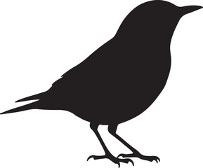 Greenish Warbler Silhouettes