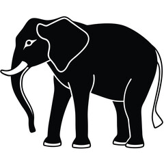 silhouette elephant on white background