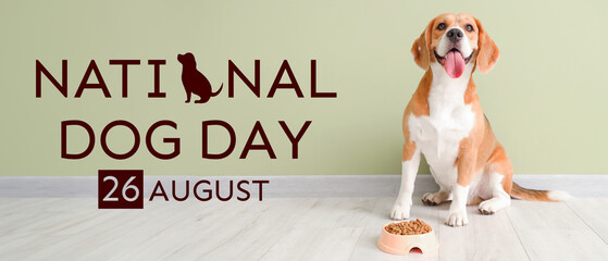Adorable Beagle dog sitting with bowl of dry food near green wall at home