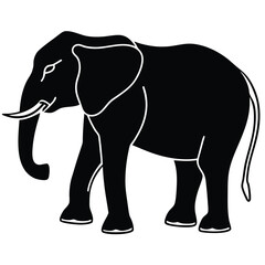 Fototapeta premium silhouette elephant on white background