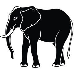 Fototapeta premium silhouette elephant on white background