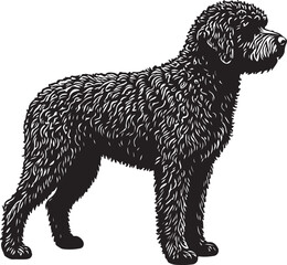 Lagotto Romagnolo Silhouettes
