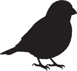 Pine Grosbeak Side View Silhouettes