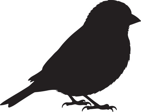 Serin Side View Silhouettes