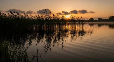 Fototapeta premium Golden Hour Reflections Serene Lake Landscape with Silhouetted Reeds