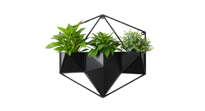 Geometric black planter with green plants isolated PNG with Transparent Background