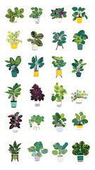 Fototapeta premium Urban Jungle: Celebrate a Diversity of Decorative Indoor Foliage with an Illustrative Houseplant Collection in Multicolored Pots for Interior Design and Wellness