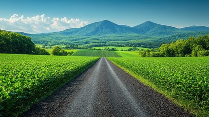 Serene country road leading toward majestic mountains through expansive green fields under a bright sky