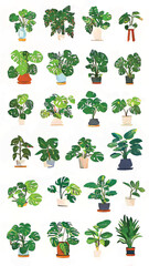 Digital Botanical Art: Tropical Indoor Plant Patterns for Home Decor