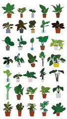 Indoor Gardening Bliss: Vibrant Tropical Leaves and Decorative Houseplants in Eco-Friendly Modern Design