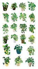 Vibrant Interior Design with Eco-Friendly Botanical Illustrations and Lush Greenery Decor Featuring Indoor Houseplants and Decorative Pots