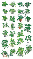 Fototapeta premium Creating a Serene Urban Jungle: Vibrant Green and Lush Leaves in Modern Indoor Gardening for Sustainable Living and Botanical Art