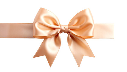 Fototapeta premium Elegant satin ribbon bow for decoration.