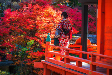 Fototapeta premium Japanese woman in Kimono at Bishamondo temple at autumn, Kyoto