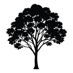 A simple, elegant silhouette of Eucalyptus globulus leaves and branches, showcasing their iconic round, smooth-edged foliage in a clean, minimalist style.
