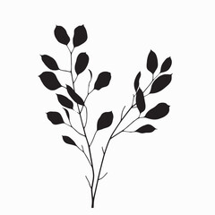 Black and white floral vector illustration with leaves and decorative botanical elements