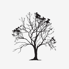 Obraz premium A beautiful silhouette of a tree with prominent roots and delicate branches captures the essence of nature and the changing seasons