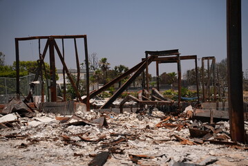 Remains of homes in the Pacific Palisades fire