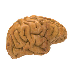human brain isolated 3d render