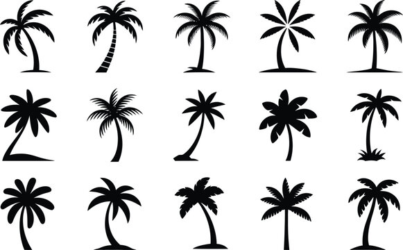 Collection of black palm tree silhouette icons featuring various tropical designs suitable for holiday, vacation, or summer themed projects