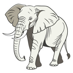 Fototapeta premium Elephant The largest land animal admired for its intelligence and gentle nature