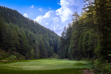 Forest in the mountains. Lake in the Hills. Pundarik Rishi Temple, Upper Neahi village. Sainj Valley, Eco Zone, Great Himalayan National Park, Himachal Pradesh, India.	