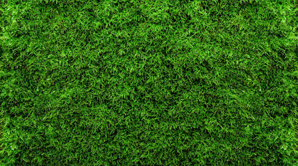 Lush green moss texture as background with vibrant color and natural feel