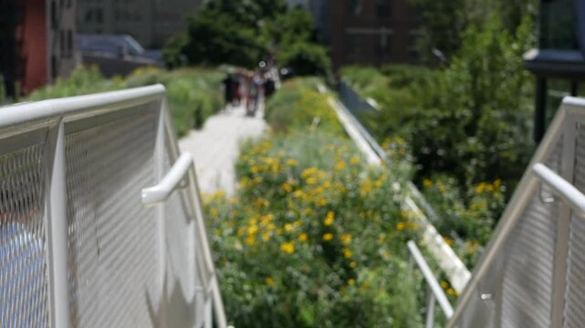 New York City High Line elevated greenway, Manhattan Midtown, USA. People pedestrians in urban public park. Promenade in garden greenery. American street life, Chelsea highline near Hudson Yards.