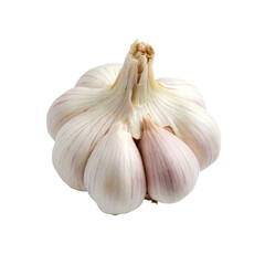 garlic bulb isolated on white background